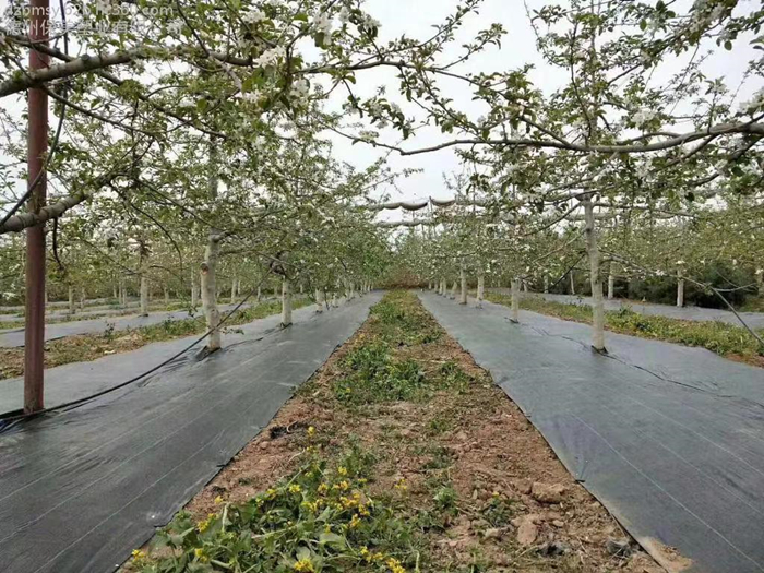 1650523534297284.jpg ad083f316412ef4857fc08b6b2afee3.jpg