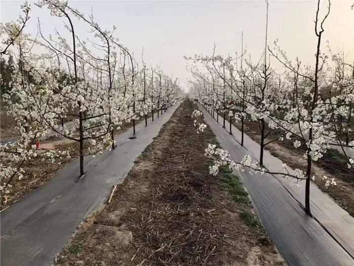 1650523659849695.jpg 21566b2c73a7484770276f833928c6b.jpg