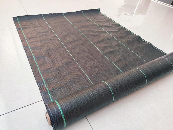 1650523686730674.jpg 82e16c339ee3f14ab16133bd4daff1e.jpg